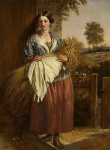 Gleaner (öljy paneelissa)