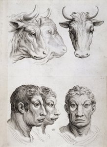 Miehet/karja vertailu tekijältä Charles Le Brun