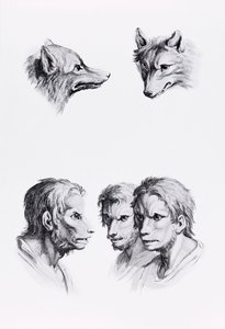 Suden ja ihmisen pään yhtäläisyyksiä, Le Brunin teoksesta "Livre de portraiture pour ceux qui commencent a dessiner". tekijältä Charles Le Brun