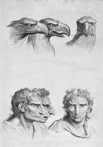 Samankaltaisuuksia kotkan pään ja miehen välillä Le Brunin teoksesta "Livre de portraiture pour ceux qui commencent a dessiner" tekijältä Charles Le Brun