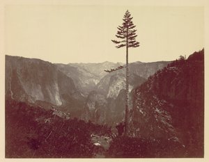 Yosemiten laakso Mariposa Trailista, n. 1865. tekijältä Charles Leander Weed