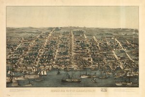 Alexandria, Vaasan osavaltio lintuperspektiivistä. LOC 81694373 tekijältä Charles Magnus