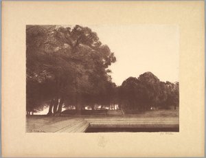 Maisemasarja: Maisema, lautanen 7, muistiinpano, unikot, 1892-1893.