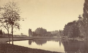 Bois de Boulogne tekijältä Charles Marville