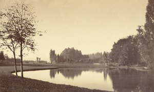 Bois de Boulogne, 1858. tekijältä Charles Marville