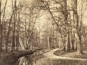 Bois de Boulogne, Pariisi tekijältä Charles Marville