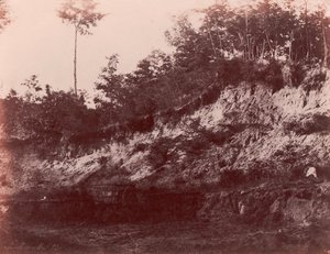 Louhos, 1850-53. tekijältä Charles Marville