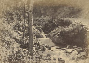 [Sveitsin laakso St. Goarshausenissa] tekijältä Charles Marville