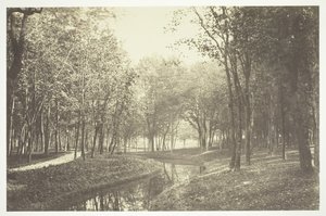 Sense títol, c. 1850. [Arbres prop de l