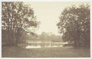 Nimetön, c. 1850. [Puita lähellä vettä Bois de Boulognessa, puistossa Pariisissa]. tekijältä Charles Marville