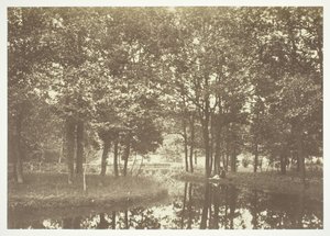 Nimetön, c. 1850. [Puita lähellä vettä Bois de Boulognessa, puistossa Pariisissa]. tekijältä Charles Marville