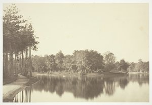 Nimetön, c. 1850. [Puita lähellä vettä Bois de Boulognessa, puistossa Pariisissa]. tekijältä Charles Marville