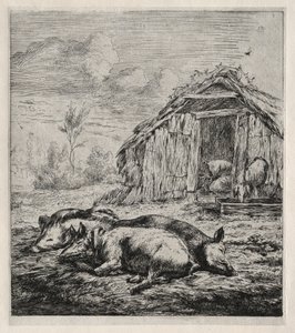 Kolme sikaa makaamassa mökin edessä, 1850. tekijältä Charles Meryon