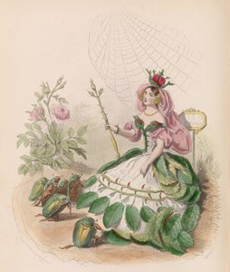 Animoituja kukkia, 1867.