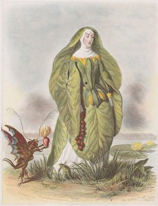 Lumpe, Les Fleurs Animées, 1847.