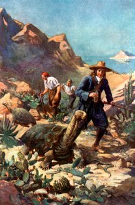 Galapagossaarten jättiläiskilpikonnat tekijältä Charles Mills Sheldon