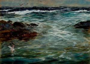 Meritutkimus Portscathossa, Cornwallissa, 1901