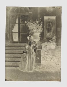 Naisen muotokuva, mahdollisesti Mme Ernest Feydeau tekijältä Charles Nègre