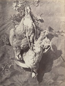 [Asetelma riistalintujen kanssa], 1859. tekijältä Charles Nègre