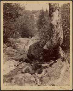 [Cascading Stream] tekijältä Charles P. Hibbard