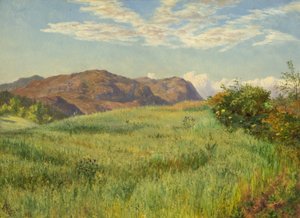 Highland Oatfield