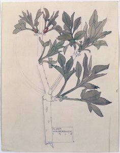 Elder, Walberswick, 1915 (wc ja kynä paperille)