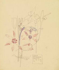 Ixias tekijältä Charles Rennie Mackintosh