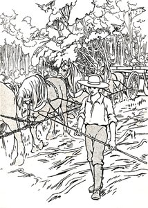 Uudisasukas raivaamassa maataan, 1912 tekijältä Charles Robinson