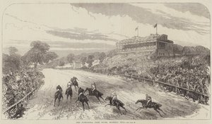 Alexandra Park Races, Muswell Hill tekijältä Sir John Charles Robinson
