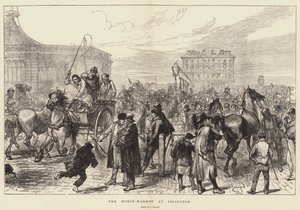 Islingtonin hevostori