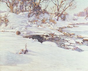 Talven auringonvalo tekijältä Charles Rosen
