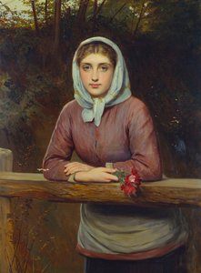 Kokous, 1881