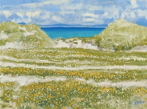 Glimpse of Harris, 2014 (öljy kankaalle) tekijältä Charles Simpson