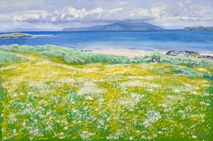 Machair, North End Iona, 2015 (öljy kankaalle) tekijältä Charles Simpson
