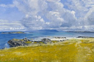 North Shore, Iona, 2015 (öljy kankaalle)