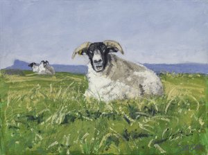 Länsirannikon lammas, 2017 (öljy kankaalle)