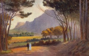 Cape Peninsula, Etelä-Afrikka: Alphen (väri litho) tekijältä Charles Stephen Meacham