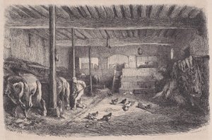 Talli, Magasin Pittoresquesta, n. 1852.