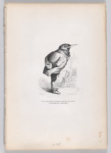 Vanha, rikki, ahne, hassu, mutta hyvä, mutta kuitenkin omistautunut ja luonteeltaan kotimainen..., n. 1837-47.