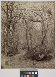 Fontainebleau, n. 1870 (albumiprintti) tekijältä Charles Victor Famin