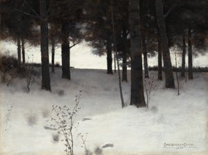 Metsää talvella
