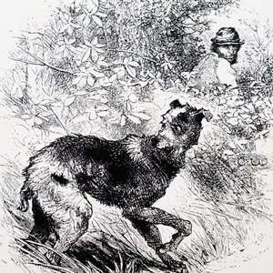 Salametsästäjä lurcherineen tekijältä Charles Whymper