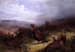 Grouse Highlandsissa tekijältä Charles Whymper