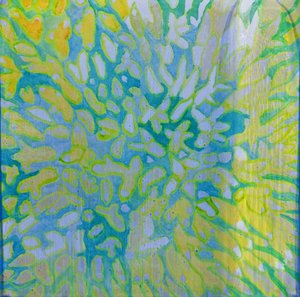 Acrapora, 2000 (öljy gessolle)