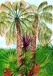 Barcelona Palms, 2017 (siveltimen kynät) tekijältä Charlotte Orr