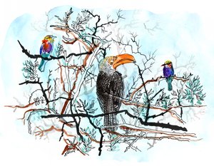 Lintu puussa, 2018 (kynä, muste ja akvarelli) tekijältä Charlotte Orr