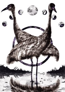 Cranes in Love, 2020