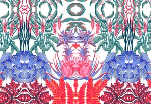 Jungle Jim, 2015 (akryyli) tekijältä Charlotte Orr