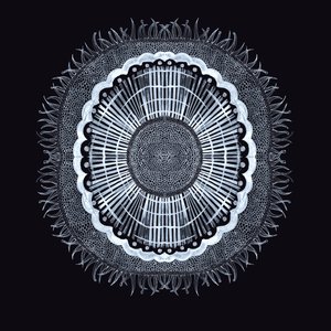 Plant Cell 0.2, 2019 (kynä ja muste) tekijältä Charlotte Orr