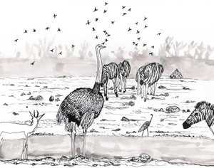 Safari 2, 2018 (muste ja akvarelli) tekijältä Charlotte Orr
